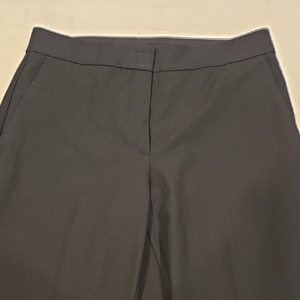 Ann Taylor Charcoal Women's Dress Pants